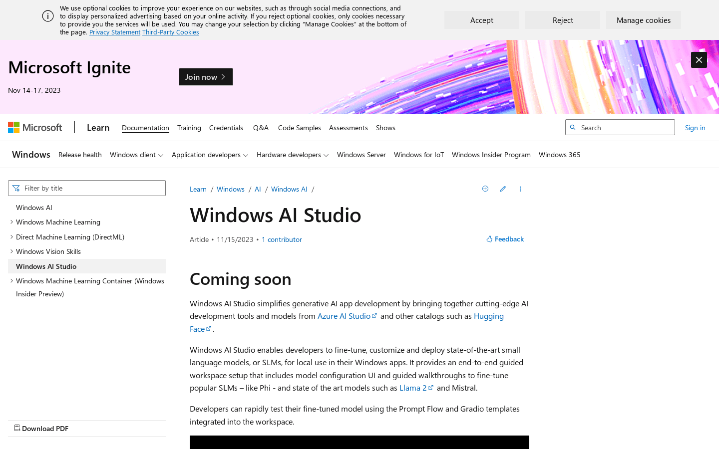 Windows AI Studio