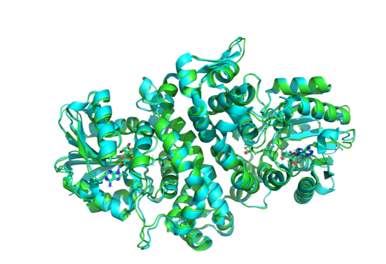 MIT research team launches open source AI model Boltz-1 to promote biomolecular structure prediction