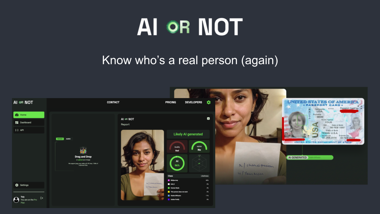 AI or Not