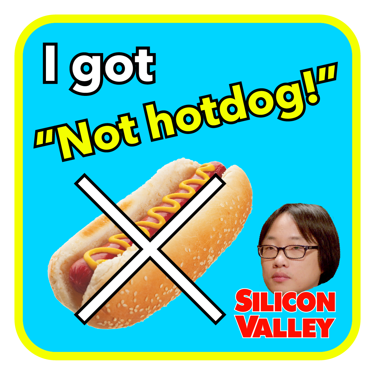 Not Hotdog