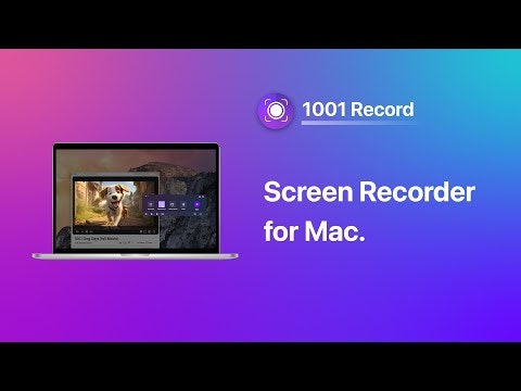 1001 Record