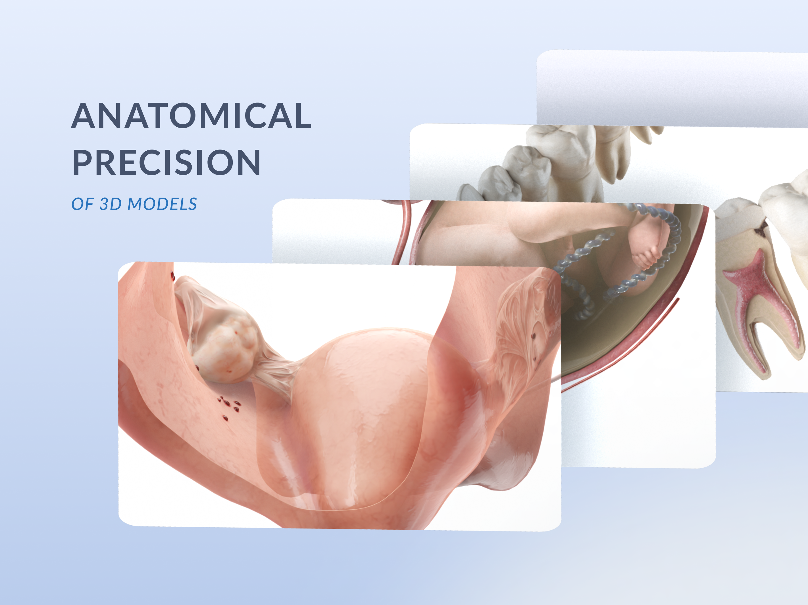 VOKA Anatomy Pro