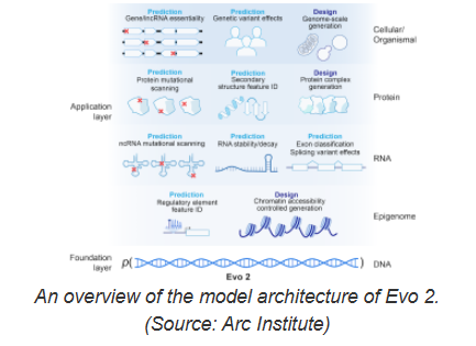 Evo2 biological AI model released: Unlocking genetic codes and accelerating disease research