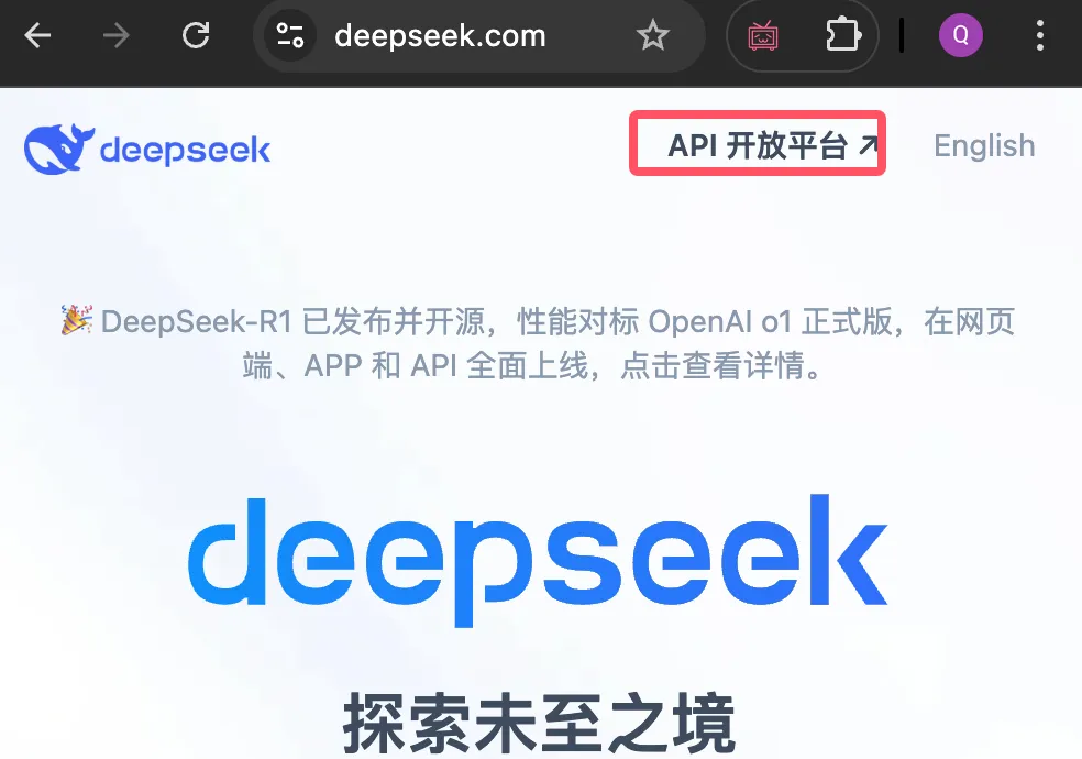 vscode-deepseek-4.jpg